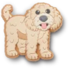 B’golden Doodle Puppy Jibbitz-kenkäkorut’