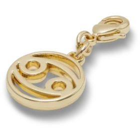 Cancer Charm Jibbitz™-korut