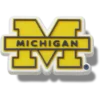Michiganin yliopiston Jibbitz-korut