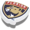 Nhl® Florida Panthers Jibbitz™-korut