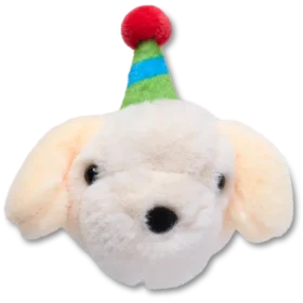 Record Your Own Sound Birthday Jibbitz-korut