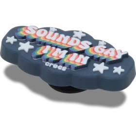 Sounds Gay Im in Jibbitz™-korut