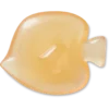 Squish-täytetyt Fish Jibbitz™ -korut